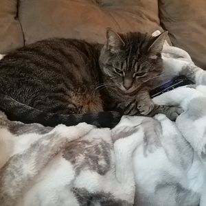 Meet your Posher, Cathy